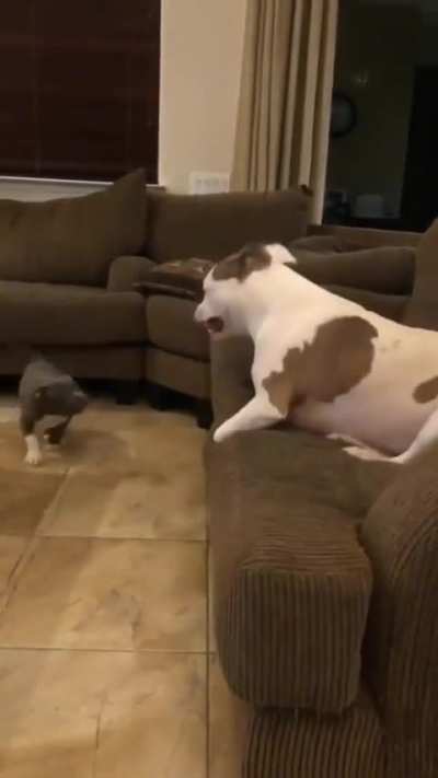 "Look! She's smiling".