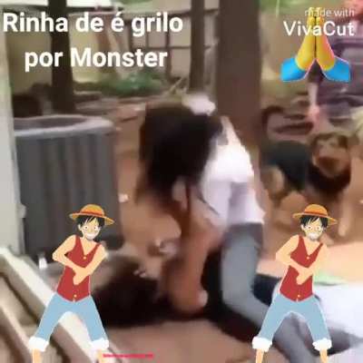 Sugest&atilde;o