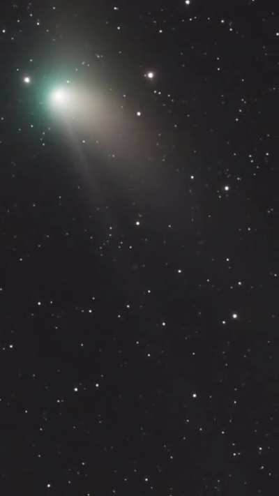 I photographed the "Neanderthal Comet" as solar radiation and wind ripped apart its massive ion tail last night (OC)