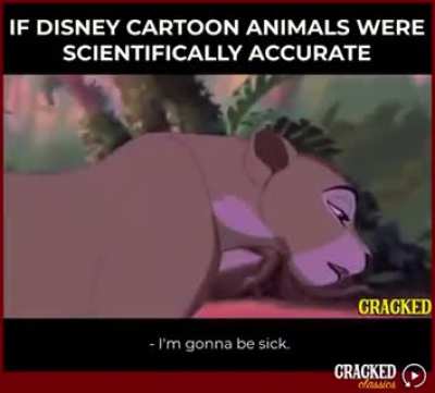 Simba is a sex addict