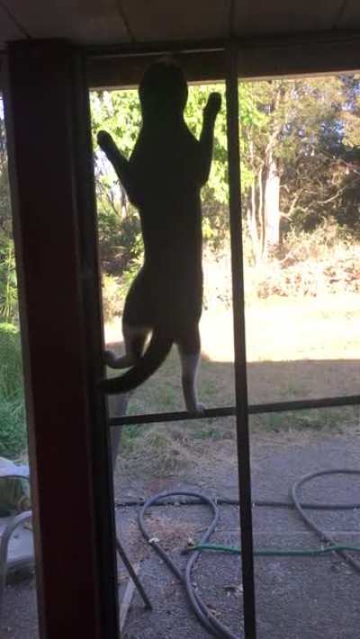 She didn&rsquo;t think through this climbing route