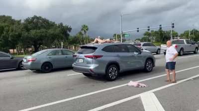 never change, Florida