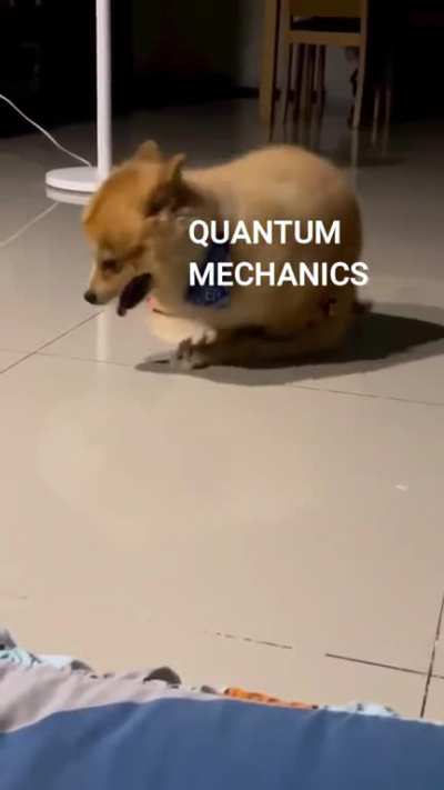 Title is left as an exercise to the reader