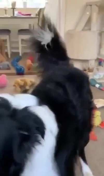 Когда не только хороший, но и умный мальчик