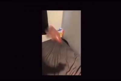 ramdom shit