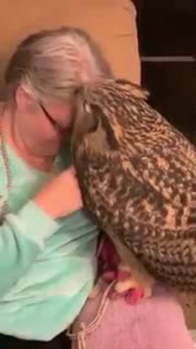 Grandma and superbOWL.