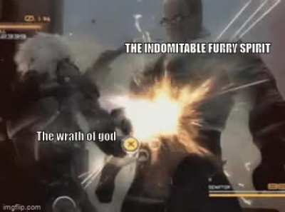 Furry_irl