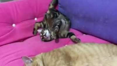 "Am I doing this right?"