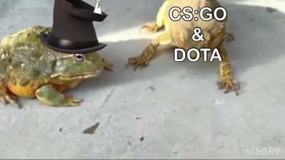 Updates 🐸