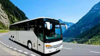BUS Part 2