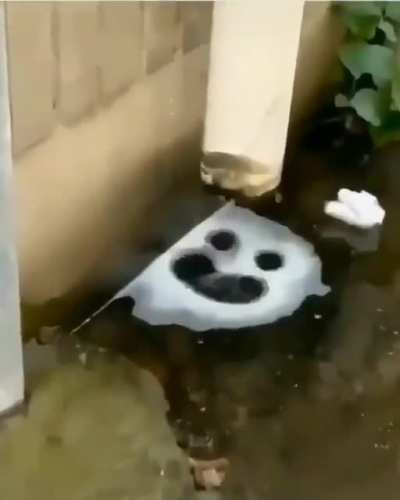 Blursed Bubbles