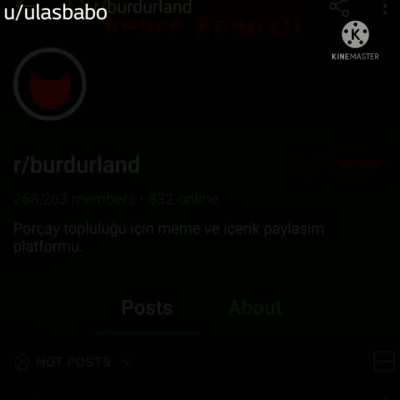 Bu sana elveda mektubumdur r/burdurland.