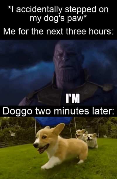 Dogs are the best people