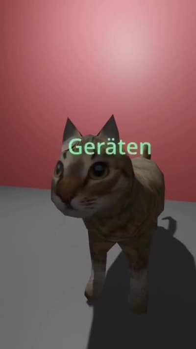 Katze