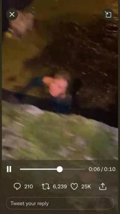 She thought it was grass: