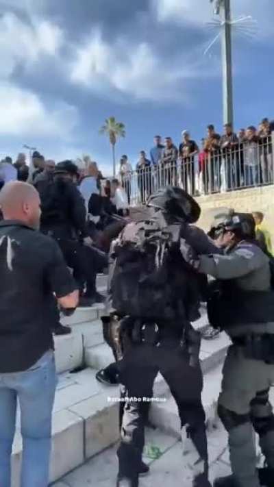 12-year-old Palestinian girl holds her own while being beaten and choked by Israeli forces