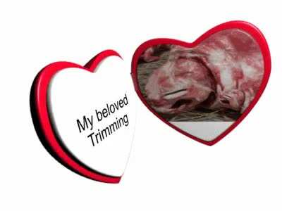 My beloved