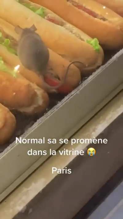 "Ratatouille" food inspection 🧐