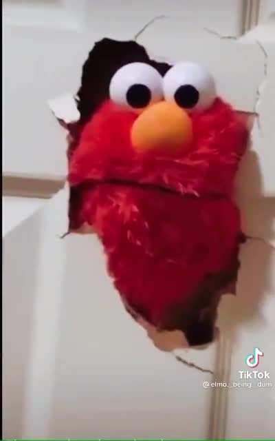 Random screaming