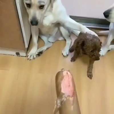 A criminal being outed by his co-conspirators