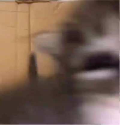 🌚