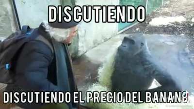 Un mexicano