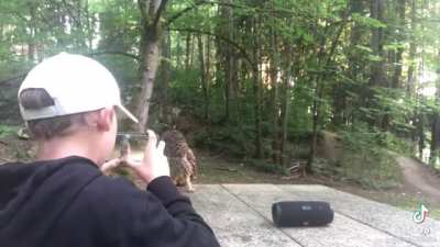 He can’t believe he managed to get this close to an owl