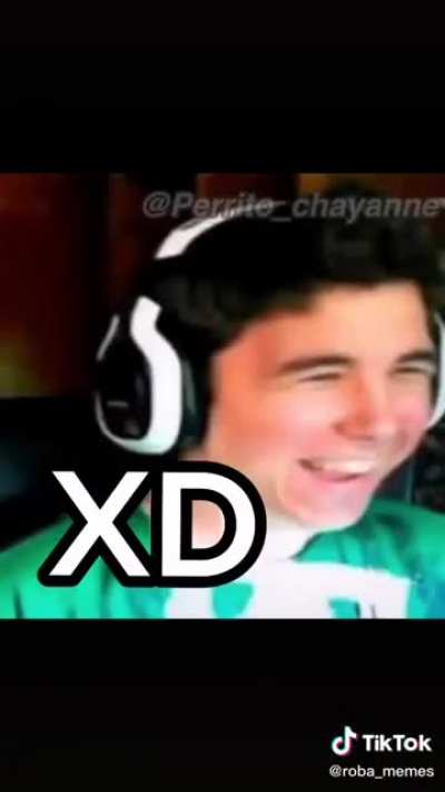 Xd