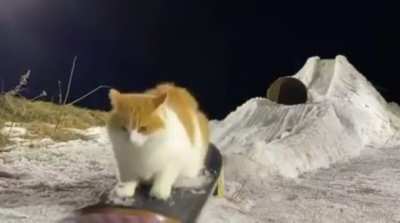 Extreme sports