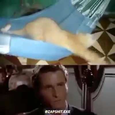 eu😔nvr