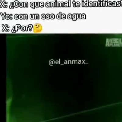 Meme del 2018