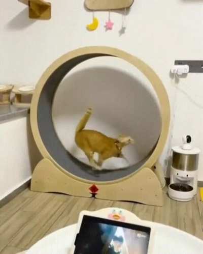 Purrkour