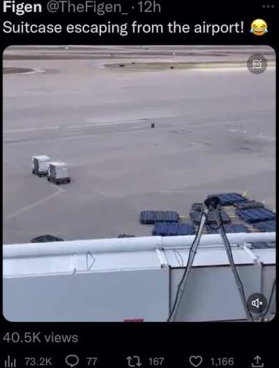 bit windy out eh