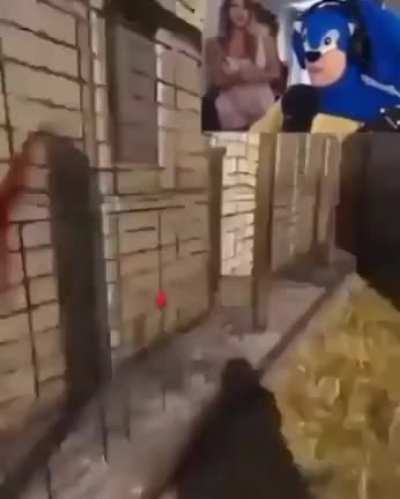 R&uuml;ł&euml;