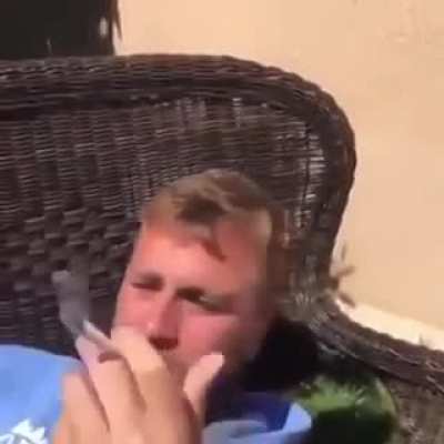 The BOOF weed