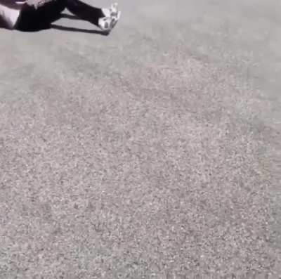 Table scorpion!