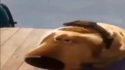 anyreusm