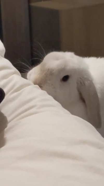 My partner fell down (one) stair last year and tore a ligament in his ankle. He had the best doctor in the world who provides the best medicine.. Lots of kisses 🥰