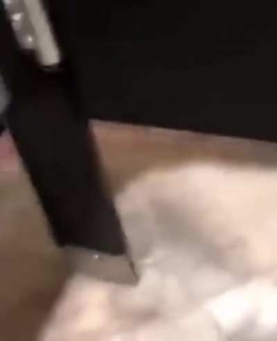 Crawling under a stranger's bathroom stall