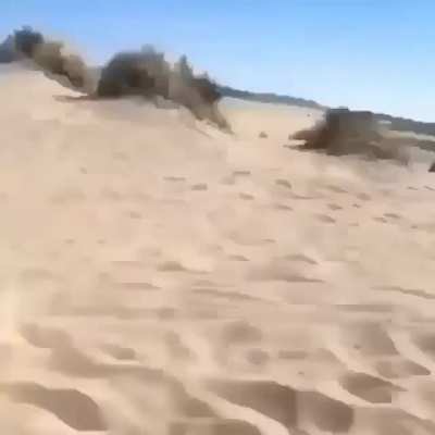 parece un dibujito