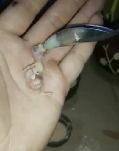 This is wierd...