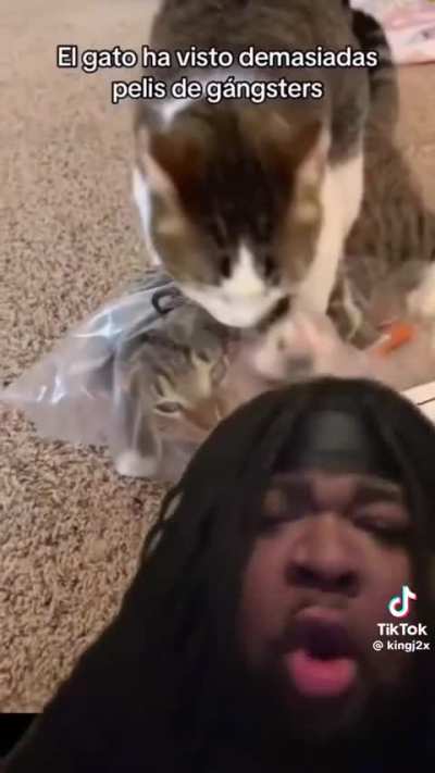 How Luna and uno be acting when simba ain&rsquo;t home