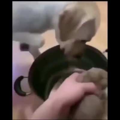 Человек, ты монстр
