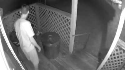 to see the raccoon