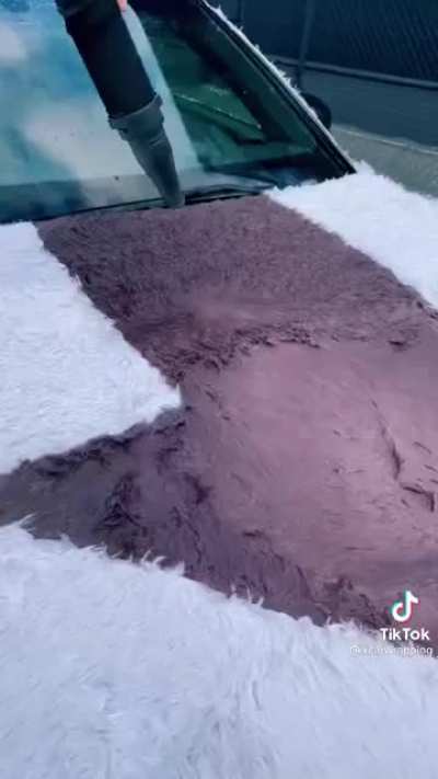 Carpet car anyone?