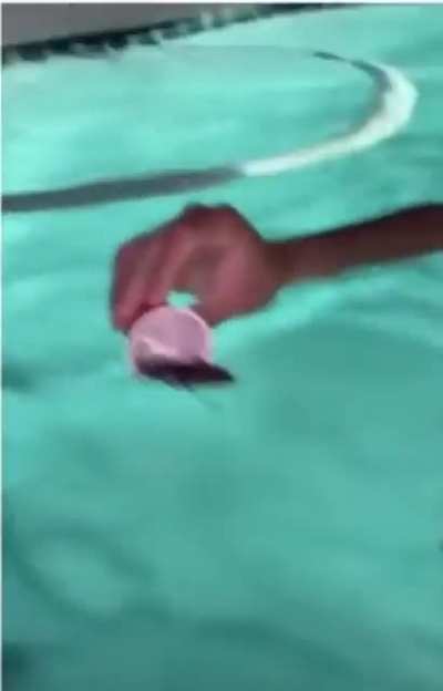 Save IT!!!!!