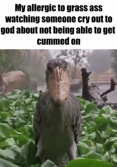 I can&rsquo;t be the only one who thinks that&rsquo;s not a big deal