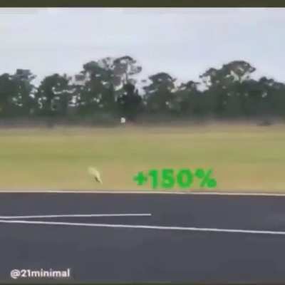 Shitcoin price action be like;