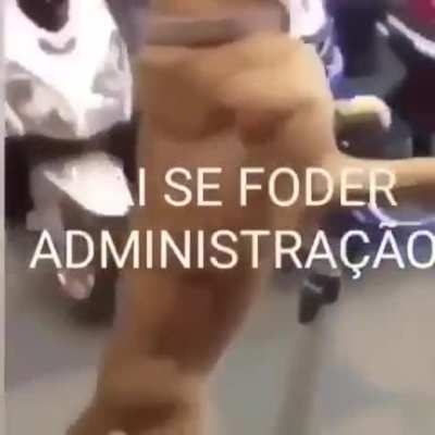 primeiro: