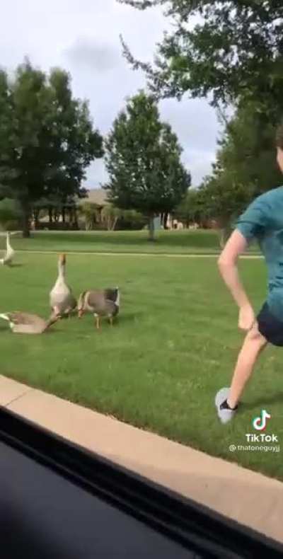 Don&rsquo;t mess with Riley!